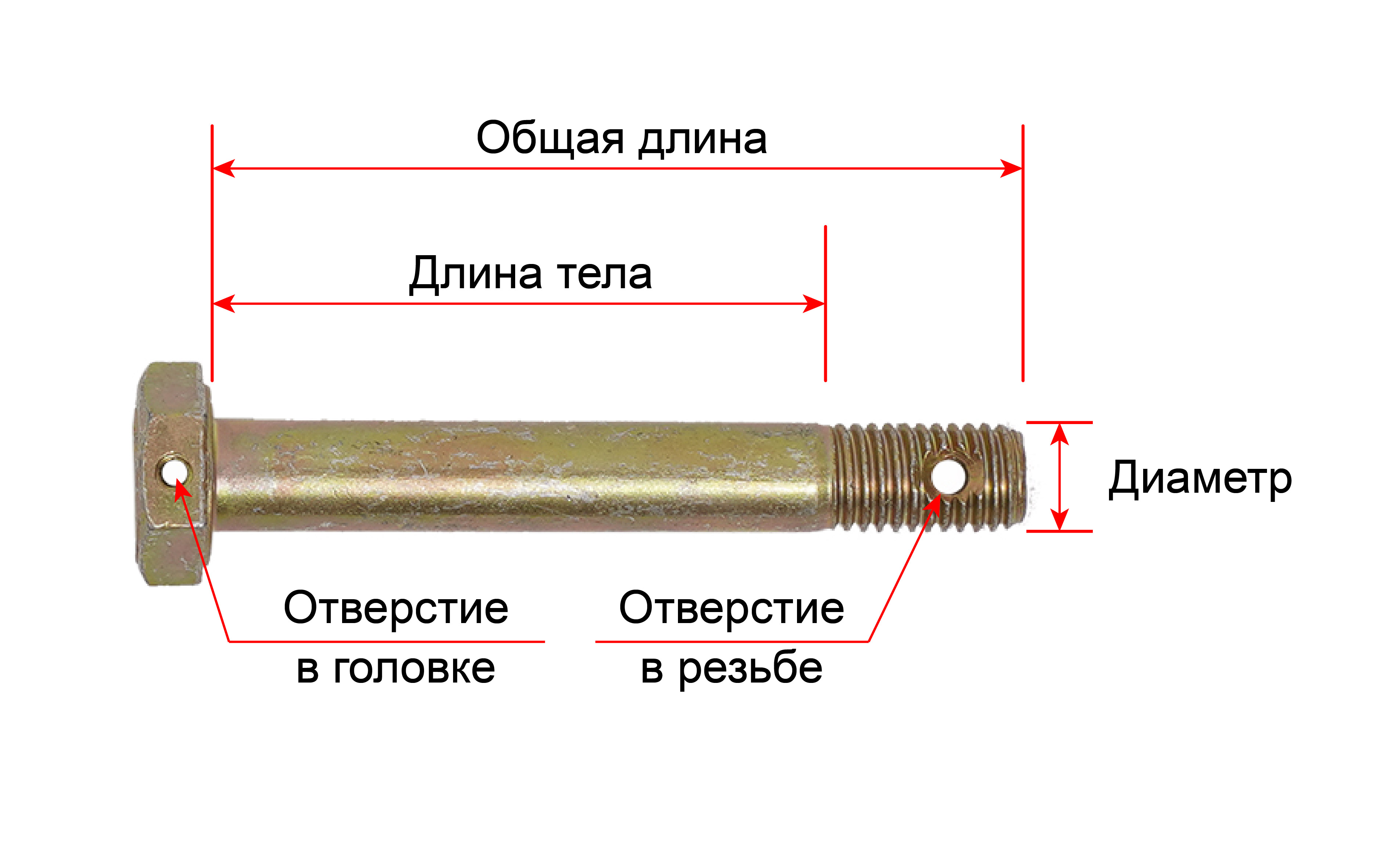Болты AN